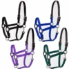 Millstone Cushion Breakaway Halter -Equestrian Equipment Store 10212 15 18 21