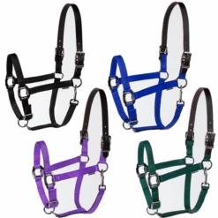 Millstone Cushion Breakaway Halter