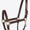 Millstone Leather Halter With Brass Hardware 1 Millstone Leather Halter With Brass Hardware -Equestrian Equipment Store 10315 16 17