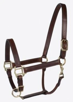 Millstone Leather Halter With Brass Hardware
