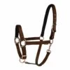 LÉTTIA Rosegold Halter Dark Brown Breakaway -Equestrian Equipment Store 10674 1