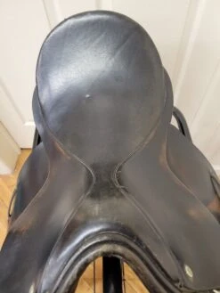 N/A Blue Ribbon Dressage 18" R -Equestrian Equipment Store 11813