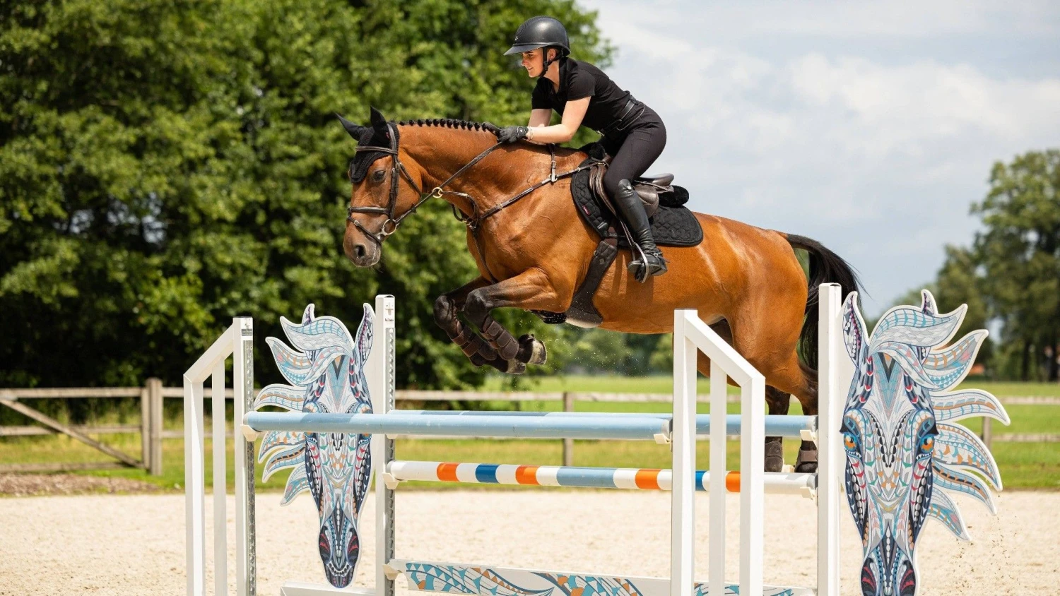 LeMieux Crystal Suede Close Contact Square 4 LeMieux Crystal Suede Close Contact Square - Image 2