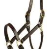 Gatsby Classic Adjustable Halter 1 Gatsby Classic Adjustable Halter -Equestrian Equipment Store 282561