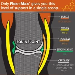 Absorbine® Flex+Max® Joint Health Supplement Pellets 30 DAY 8 Absorbine® Flex+Max® Joint Health Supplement Pellets 30 DAY -Equestrian Equipment Store 430582 430585 carousel 6