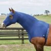 Weatherbeeta Stretch Hood W/ Zipper -Equestrian Equipment Store 483dc01c0563ad911dd659e8fa1c080a