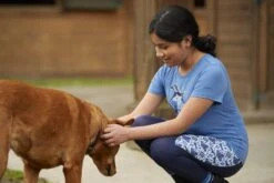 Kerrits® Kids Performance Knee Patch Tight -Equestrian Equipment Store 60282 kidspaintedhorsetee 60500 kidsperformancetightkp 002