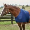 Weatherbeeta Stretch Shoulder Guard 1 Weatherbeeta Stretch Shoulder Guard -Equestrian Equipment Store 692ecbcbf7e66a256c3161a6c12b62d0 3
