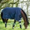 Amigo® Bravo 12 Original Turnout (0g Light) -Equestrian Equipment Store aara41 bbw0 amigo bravo 12 original 0g lite 1