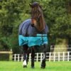 Amigo® Mio Pony Turnout Sheet Two-Tone Lite 1 Amigo® Mio Pony Turnout Sheet Two-Tone Lite -Equestrian Equipment Store aasa41 kctq pony