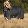 Amigo Bravo 12 Plus Turnout Sheet 2 Amigo Bravo 12 Plus Turnout Sheet -Equestrian Equipment Store amigo plus