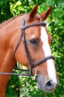 KL Select Black Oak Aster Hunter Bridle