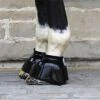 Davis Bell Boots 2 Davis Bell Boots -Equestrian Equipment Store black bell boots on horse 1