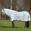 Amigo® Bug Rug Flysheet (No Fill) -Equestrian Equipment Store bug rud azure orange