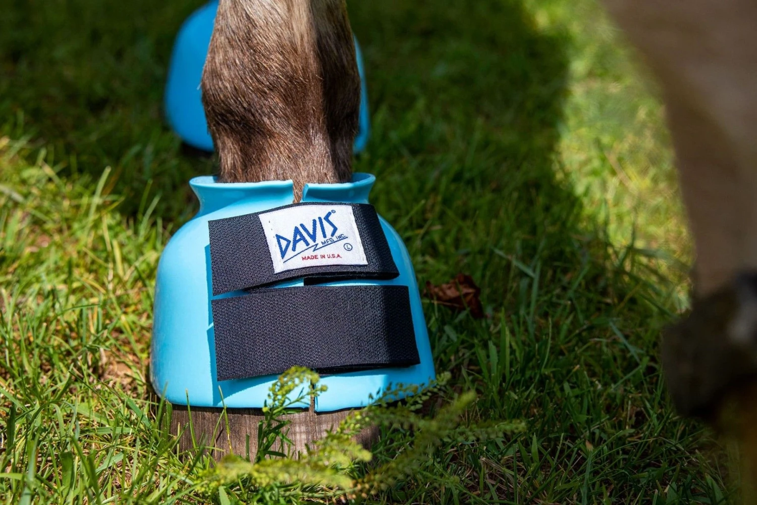 Davis Bell Boots 4 Davis Bell Boots - Image 2