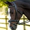 KL Select Italia Pirouette Bridle 1 KL Select Italia Pirouette Bridle -Equestrian Equipment Store dressage bridle 13 2