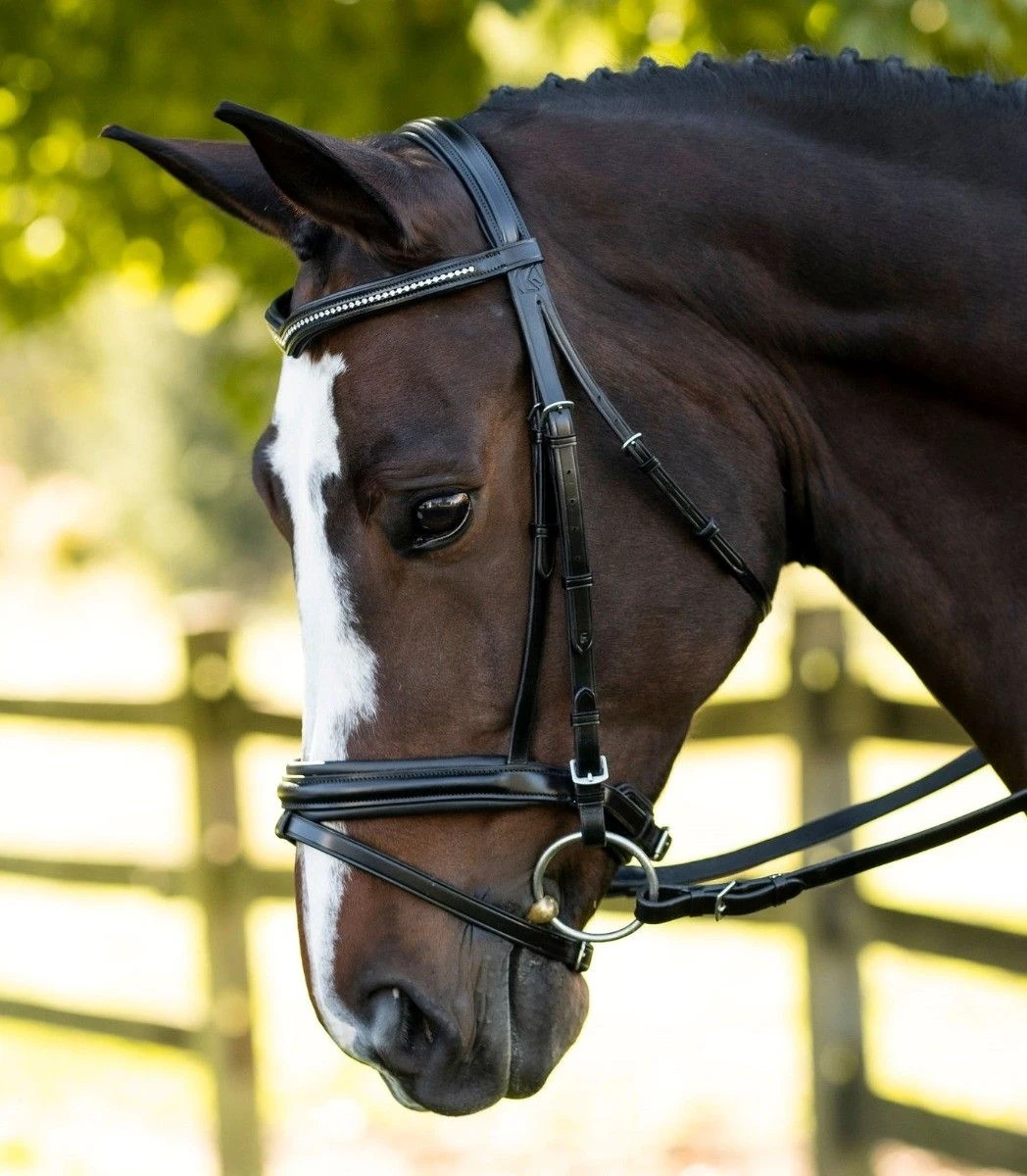 KL Select Italia Pirouette Bridle 3 KL Select Italia Pirouette Bridle