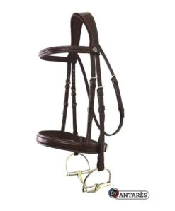 Antares Signature Fancy Hunter Bridle