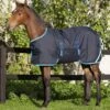 Amigo® Ripstop Foal Turnout (200g Medium) 1 Amigo® Ripstop Foal Turnout (200g Medium) -Equestrian Equipment Store ezgif.com gif maker 2 2 8