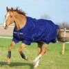 Amigo® Hero 900 Turnout (200g Medium) -Equestrian Equipment Store ezgif.com gif maker 3 17