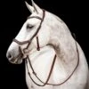 Horseware Micklem® 2 Competition Bridle 1 Horseware Micklem® 2 Competition Bridle -Equestrian Equipment Store ezgif.com webp to jpg 3 38