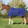 Amigo® Hero 900 Turnout (0g Lite) -Equestrian Equipment Store hero 900