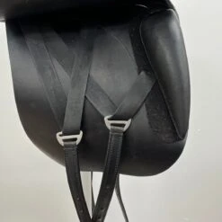 No Name Butterfly Claudia 18" W -Equestrian Equipment Store img 0226