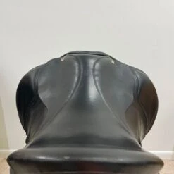 Black Country Eloquence 18" W -Equestrian Equipment Store img 0789