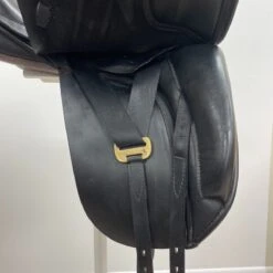 Black Country Eloquence 18" W -Equestrian Equipment Store img 0794