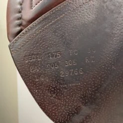 New Arrival -Equestrian Equipment Store img 1077