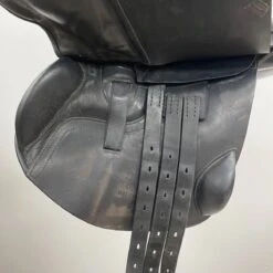 New Arrival -Equestrian Equipment Store img 1116