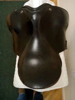 Kent Olympic Competition 17" XW -Equestrian Equipment Store img 20230916 113928