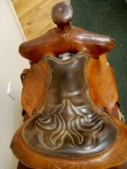 No Name 14" FQH -Equestrian Equipment Store img 20230916 131618