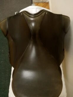 County Warmblood 17" W -Equestrian Equipment Store img 20230916 141853