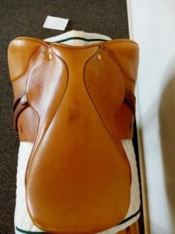 Beval LTD 16.5 N" -Equestrian Equipment Store img 20230920 111814