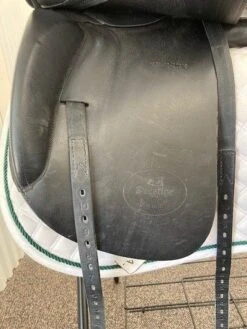 Prestige Roma 18"M -Equestrian Equipment Store img 2437 1