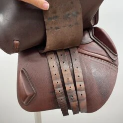 CWD SE01 2019 17.5" M -Equestrian Equipment Store img 9767