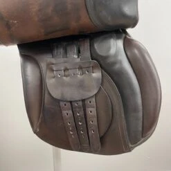 Falcon Hawk Event 17" M -Equestrian Equipment Store img 9776