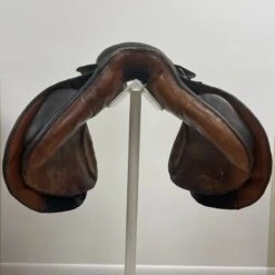 No Name 17.5" N -Equestrian Equipment Store img 9985