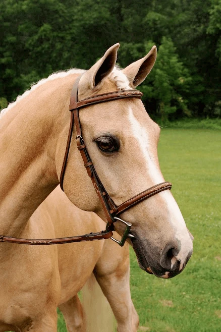 Arc De Triomphe Imperial Bridle With Raised Fancy Laced Reins 3 Arc De Triomphe Imperial Bridle With Raised Fancy Laced Reins
