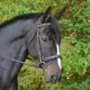 KL Select Black Oak Cyprus Bridle -Equestrian Equipment Store kl select black oak cyprus bridle 2.gif
