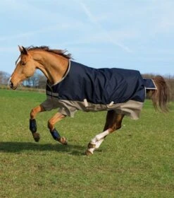 Amigo Mio® Turnout (200g Medium) 7 Amigo Mio® Turnout (200g Medium) -Equestrian Equipment Store navy tgan