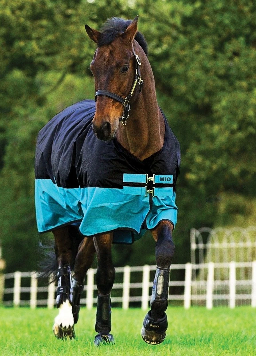 Amigo Mio® Turnout (200g Medium) 3 Amigo Mio® Turnout (200g Medium)