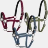 LÉTTIA Viper Halter W/ Breakaway Tab 2 LÉTTIA Viper Halter W/ Breakaway Tab -Equestrian Equipment Store new l ttia viper halter w breakaway tab 2.gif