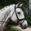 KL Italia Pirouette Weymouth Bridle 1 KL Italia Pirouette Weymouth Bridle -Equestrian Equipment Store pirouette w plain bb