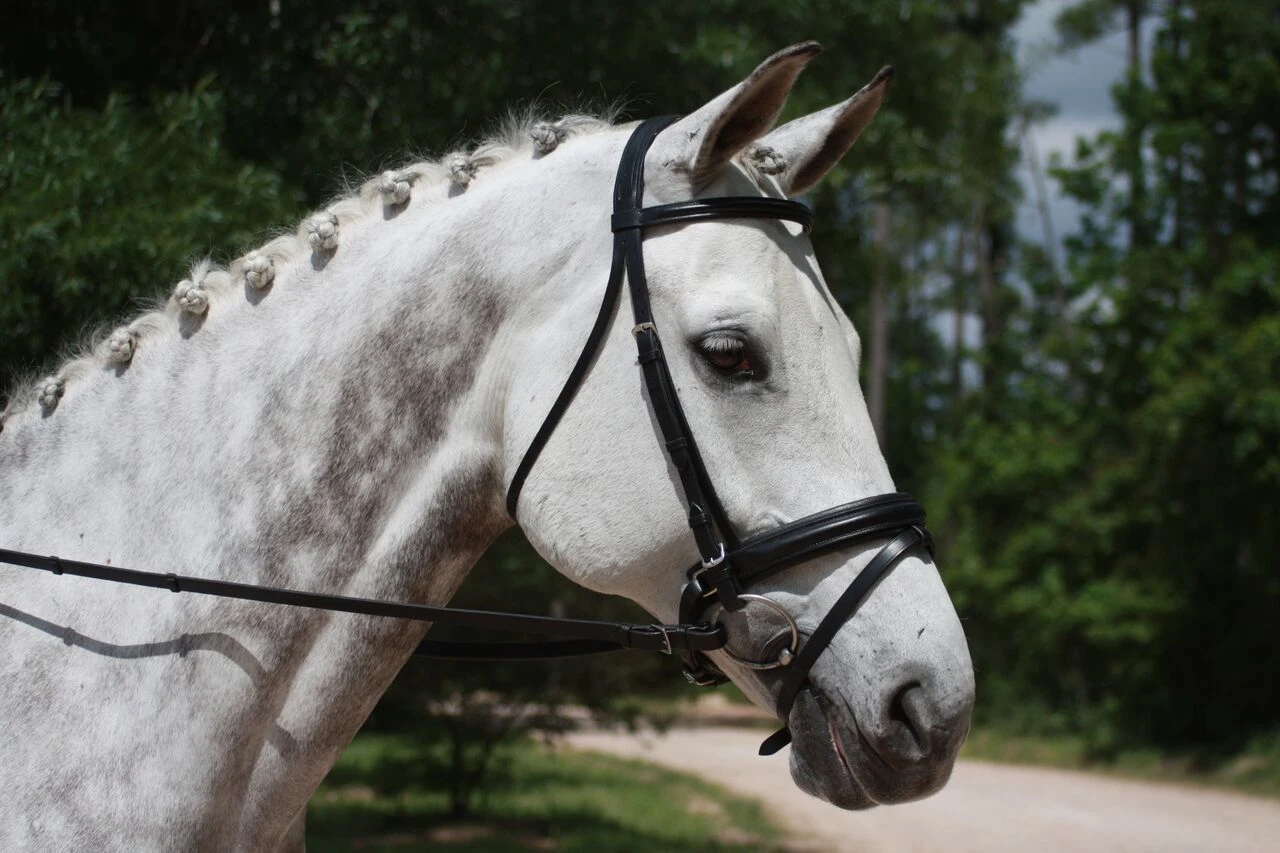 KL Italia Pirouette Weymouth Bridle 3 KL Italia Pirouette Weymouth Bridle