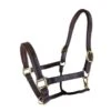 RHC Padded Leather Halter With Fancy Stitching -Equestrian Equipment Store rs1518