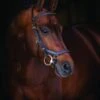 Rambo® Micklem Deluxe Competition Bridle 2 Rambo® Micklem Deluxe Competition Bridle -Equestrian Equipment Store sbab53