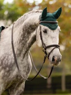 LeMieux Classic Fly Hood 13 LeMieux Classic Fly Hood -Equestrian Equipment Store tracyrobertson aw23 188 copy