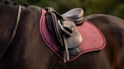 LeMieux Suede Close Contact Square 9 LeMieux Suede Close Contact Square -Equestrian Equipment Store tracyrobertson aw23 428